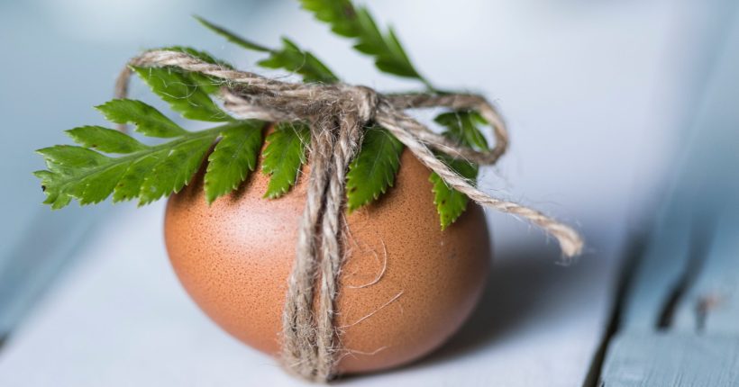 easter-egg-egg-macro-1212235