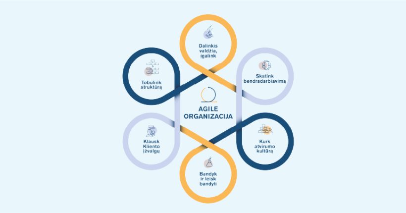 Agile organizacija