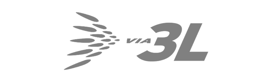 Įvadiniai Via 3L darbuotojų e. mokymai